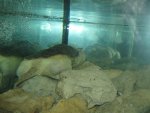 IMG_1768.jpg
