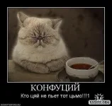getImage (42).webp