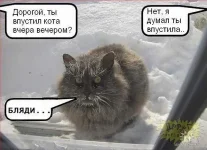 getImage (7).webp