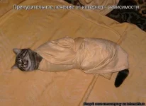 getImage (77).webp
