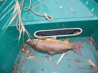 DSCF1064.webp