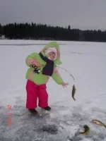 ллл.webp