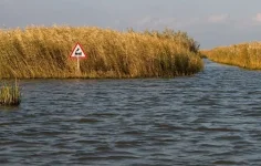 1325238620_podb_00-1.webp