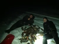 Шатура.webp