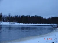 DSC08333.webp