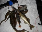 DSC03382.jpg