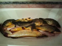 2012-01-10 02.22.05.webp
