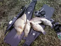 SP_A0974.webp