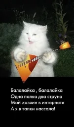кот)))).webp