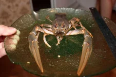 IMG_7233w.webp