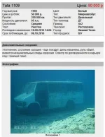1284416354_1284333363_auto_010.webp