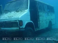 1284416319_1284333363_auto_020.webp