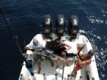 Sailfish.JPG