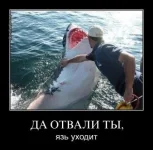 x_9ba84a21.webp
