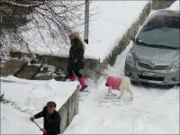 pitomec-0003.webp