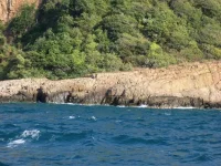 100_0695.webp