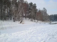 2012-01-16 12.44.44.webp