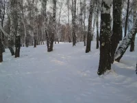 2012-01-16 12.40.40.webp