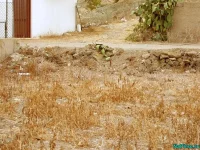 7103218911114132.webp