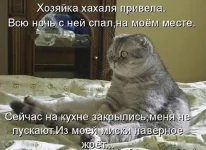 )))).webp