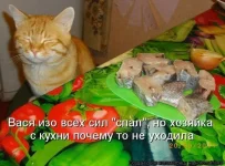 вася.webp