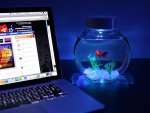 1327385563_electronic-goldfish-in-a-bowl.jpg