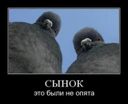 22.webp