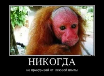плита.webp