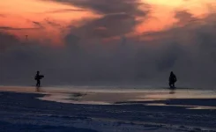 x_7c2c1318.webp