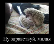 1328583437_012.webp