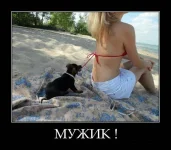 1328583489_017.webp