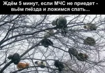 getImage (2).webp