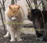 getImage (11).webp