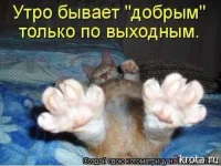 x_9a326217.webp