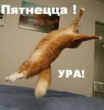 x_5fc765f9.webp