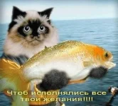 С днем рождения!!! Чтоб исполнялись все желания!!!.webp