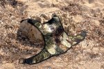 sbruya_sp2.jpg