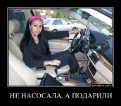 540756-ne_nasosala_a_podarili.webp