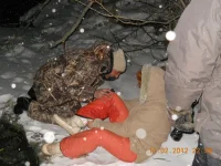 DSCN125411.webp