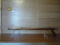 P1010543.webp