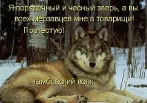 _.webp