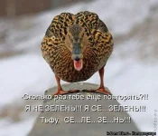 727133.webp