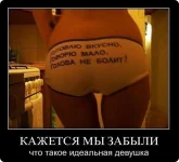 y_e4613560.webp