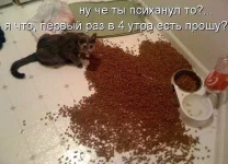 ))).webp