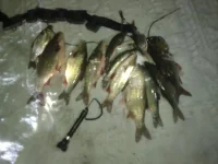 24022012124.webp