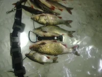 24022012125.webp
