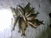 24022012127.webp