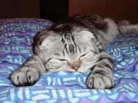DSC00413.webp