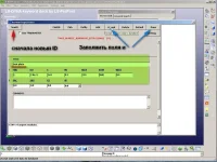 5.webp