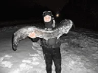 untitled.webp